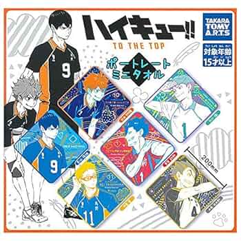 ハイキュー!! タオルセット 10点 ハイキュー!! タオルセット 10点 ハイキュー!!（haikyu